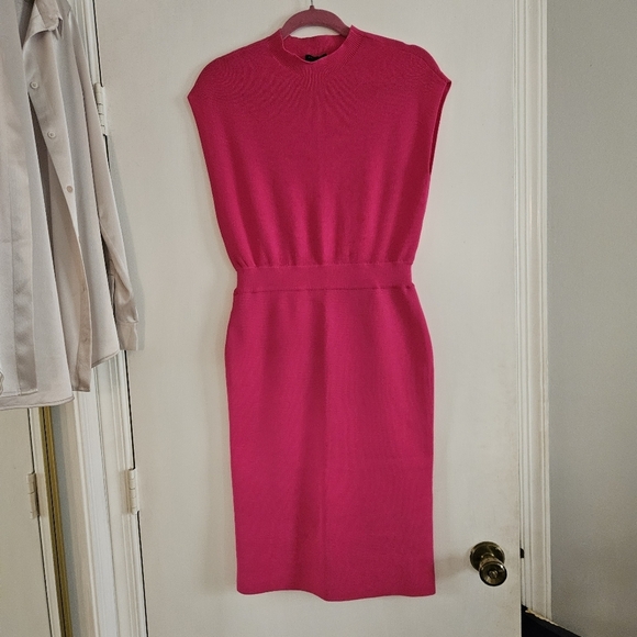 Ann Taylor Dresses & Skirts - NWT Ann Taylor Petite Ribbed Blouson Sweater Dress Hot Pink Poppy XSP